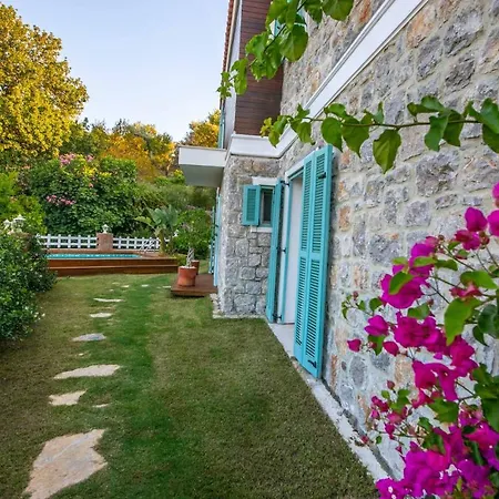 Familia Selimiye Daily Weekly