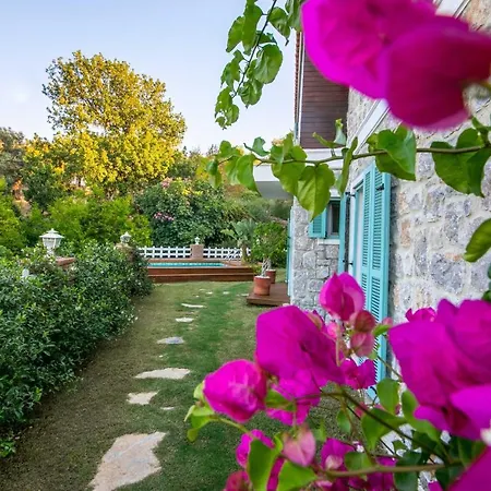 Vila Familia Selimiye Daily Weekly