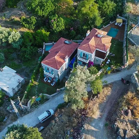 Familia Selimiye Daily Weekly