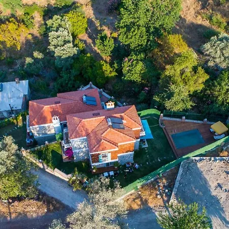 Familia Selimiye Daily Weekly